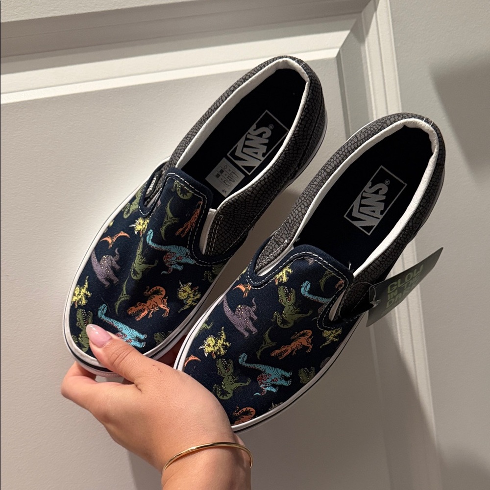 Vans Black Slip-On with Colorful Dinosaur Print